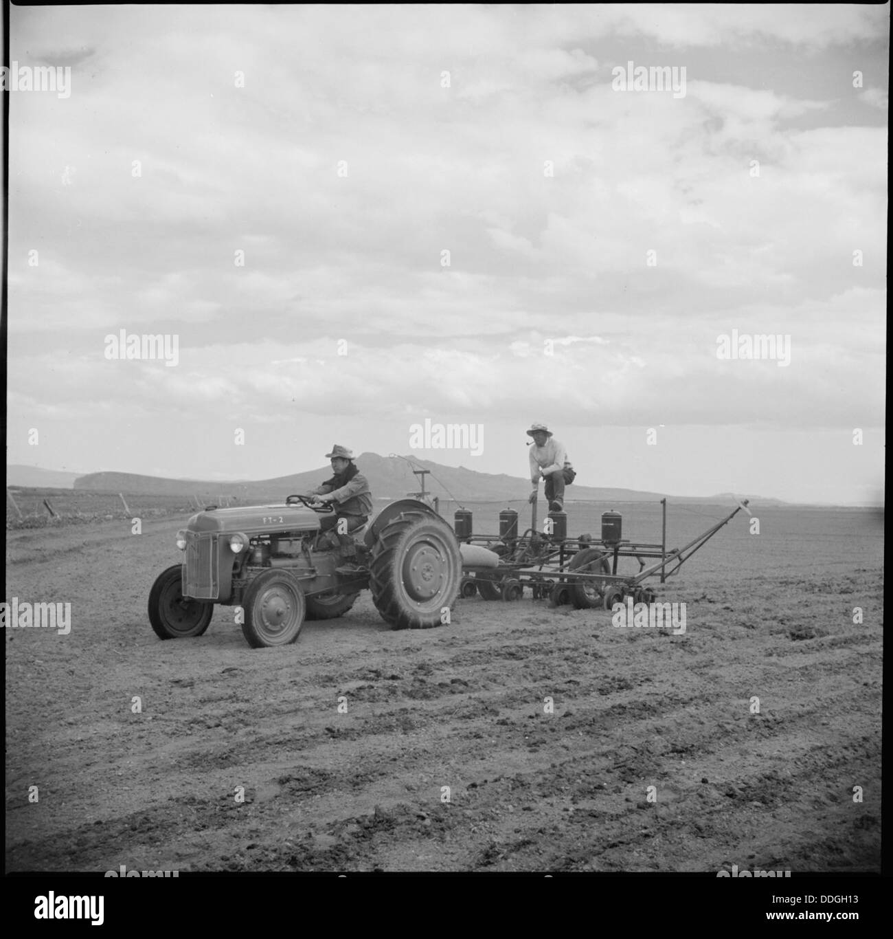 Un equipaggio di evacuati al Tule Lake Relocation Center di Newell, California, gestisce un'esercitazione di piselli, parte del lavoro agricolo durante il loro internamento. Questa fotografia cattura la vita nel campo di guerra durante la seconda guerra mondiale Foto Stock