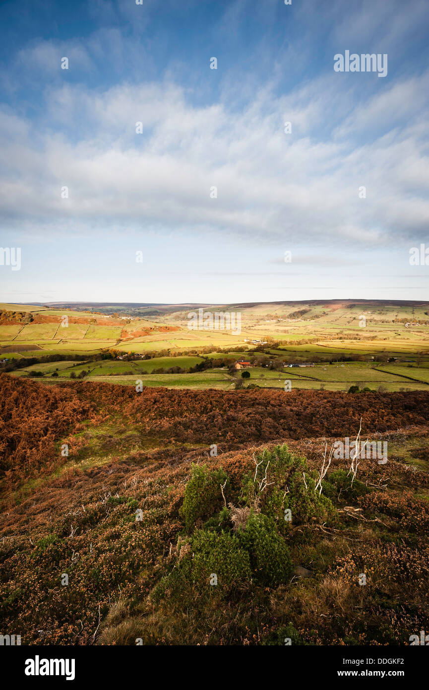 Glaisdale Moor, North York Moors National Park, il Yorkshire, Regno Unito. Foto Stock