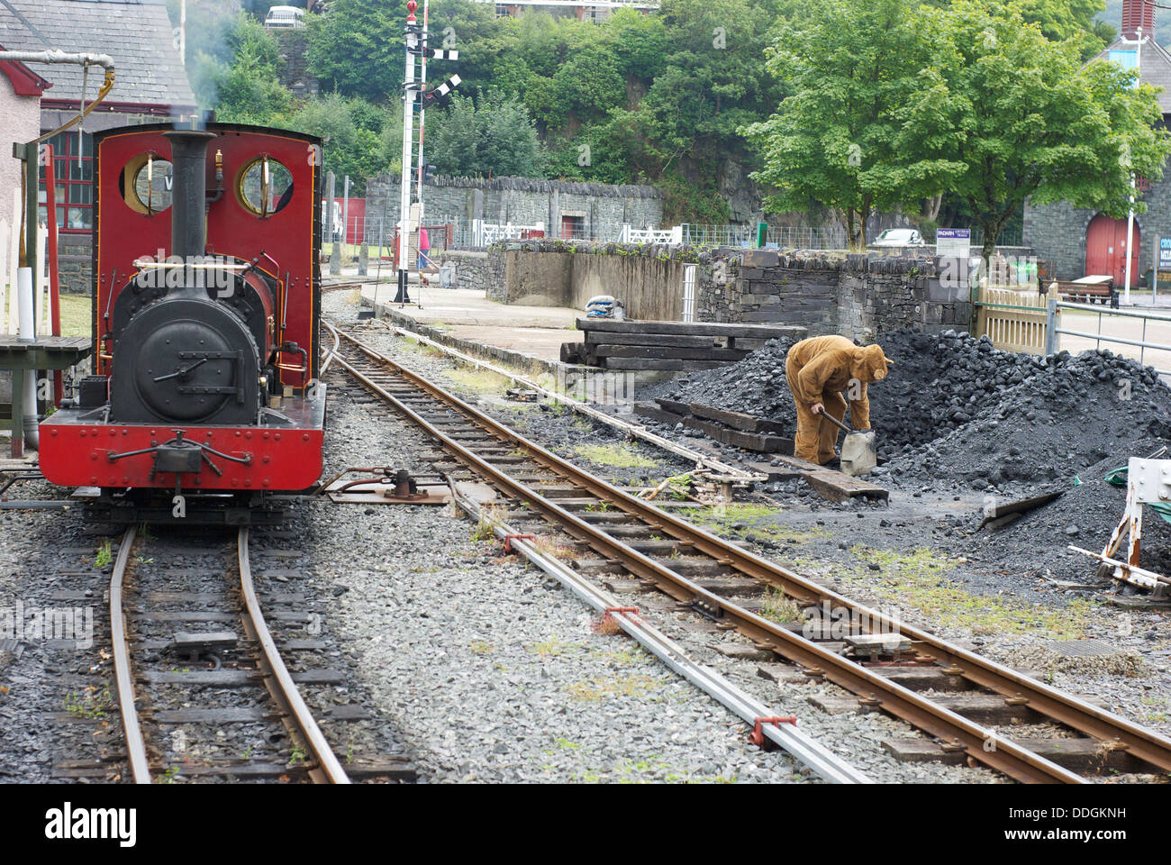 Llanberis ferrovia a piedi di Snowdon. Treno essendo preparato per il viaggio, carbone essendo caricato dal driver vestito come un orso. Foto Stock