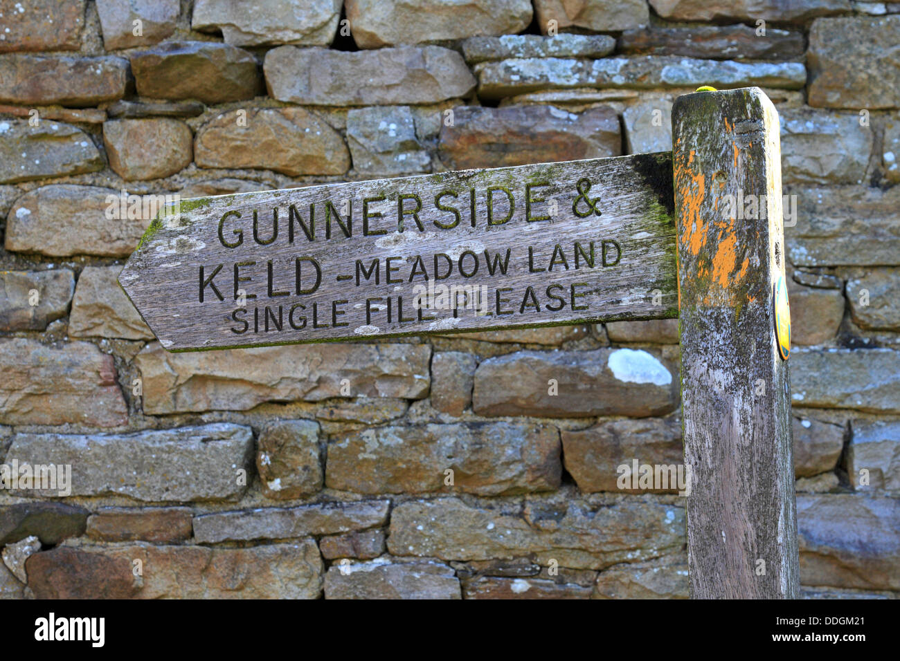 Terra di prato, file unico sentiero si prega di firmare per Gunnerside e Keld in Muker, Swaledale, North Yorkshire, Yorkshire Dales National Park, Inghilterra, Regno Unito. Foto Stock