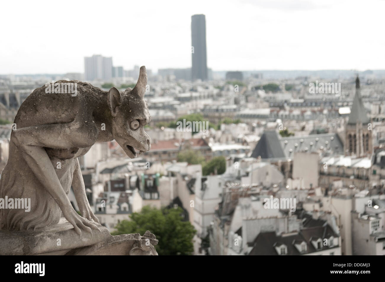 Uno di Notre Dame è ben noto gargoyle statue Foto Stock