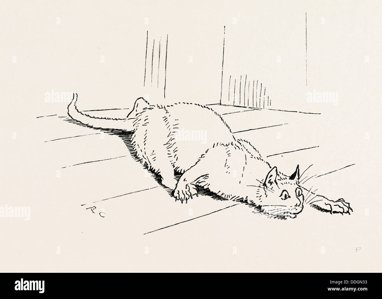 Il gatto che ha mangiato la RAT, XIX secolo Foto Stock