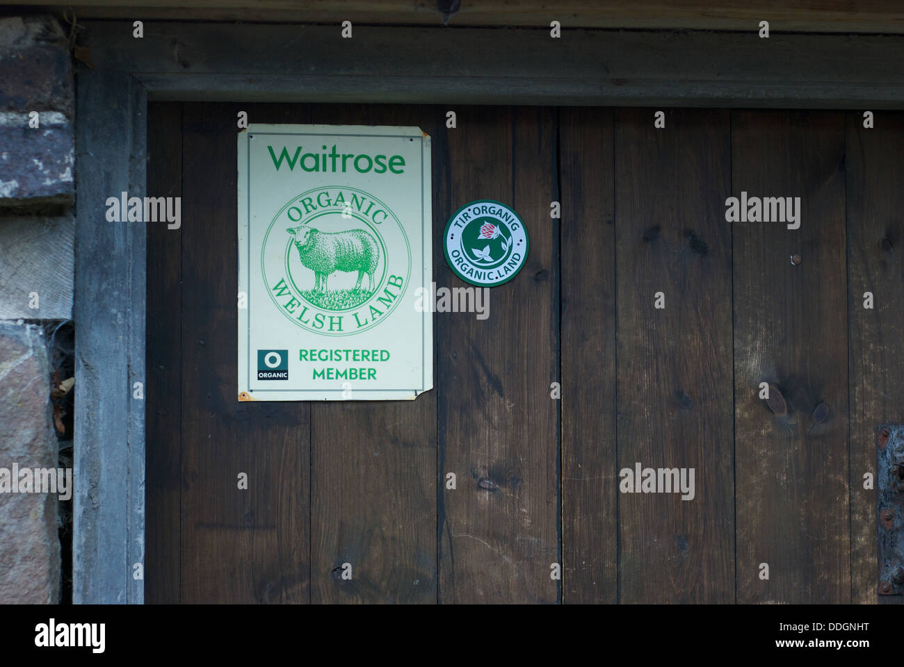 Waitrose organici di agnello gallese segno su una fattoria nel Galles del nord Foto Stock