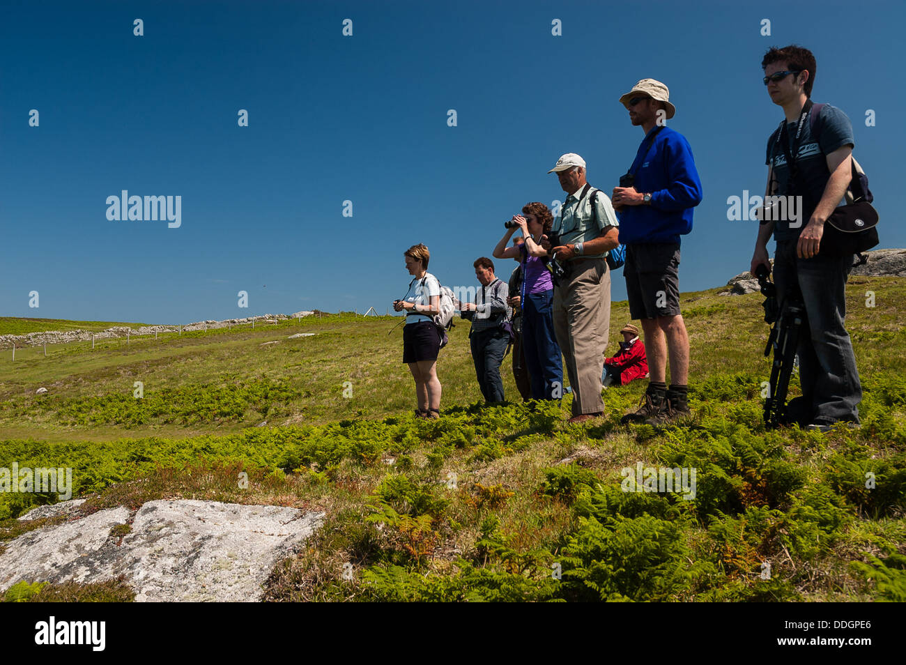 Bird watchers in cima a una scogliera che guarda al mare su Lundy Island nel canale di Bristol Foto Stock