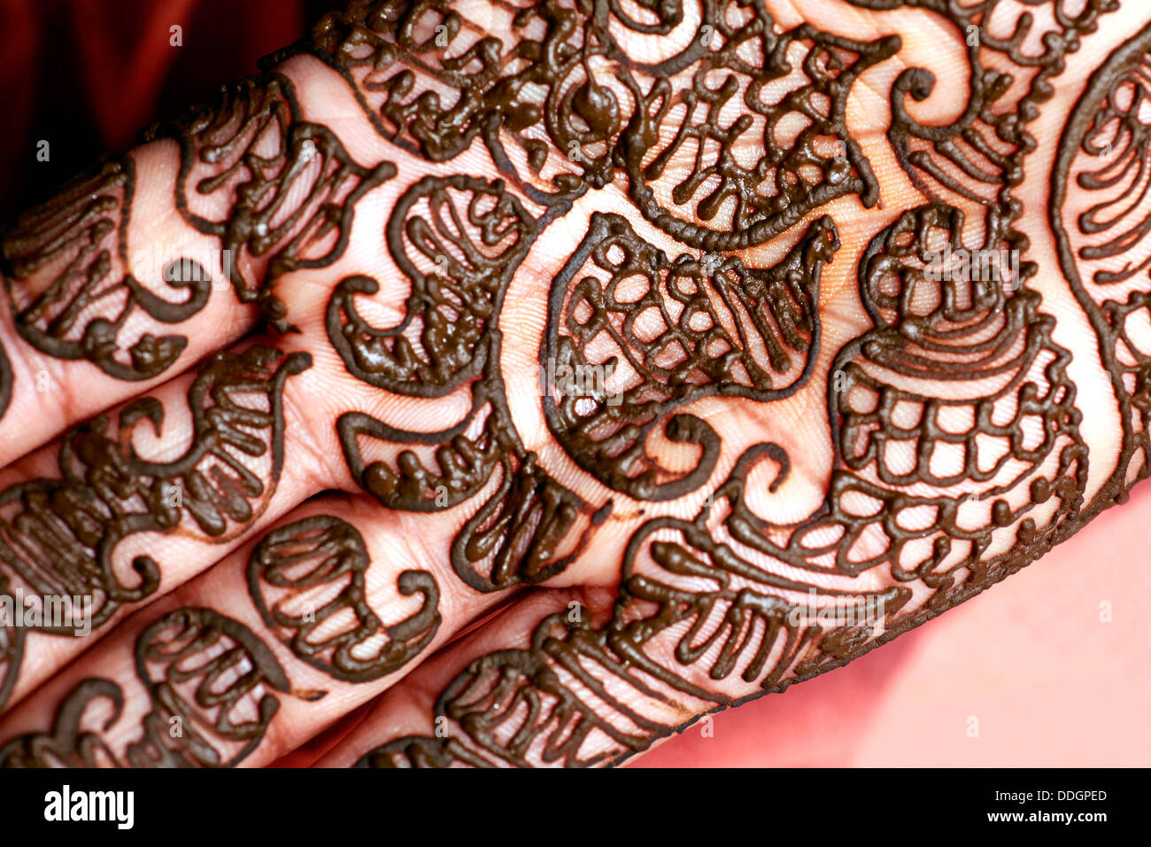 Sposa indiano con Henna Tattoo Foto Stock