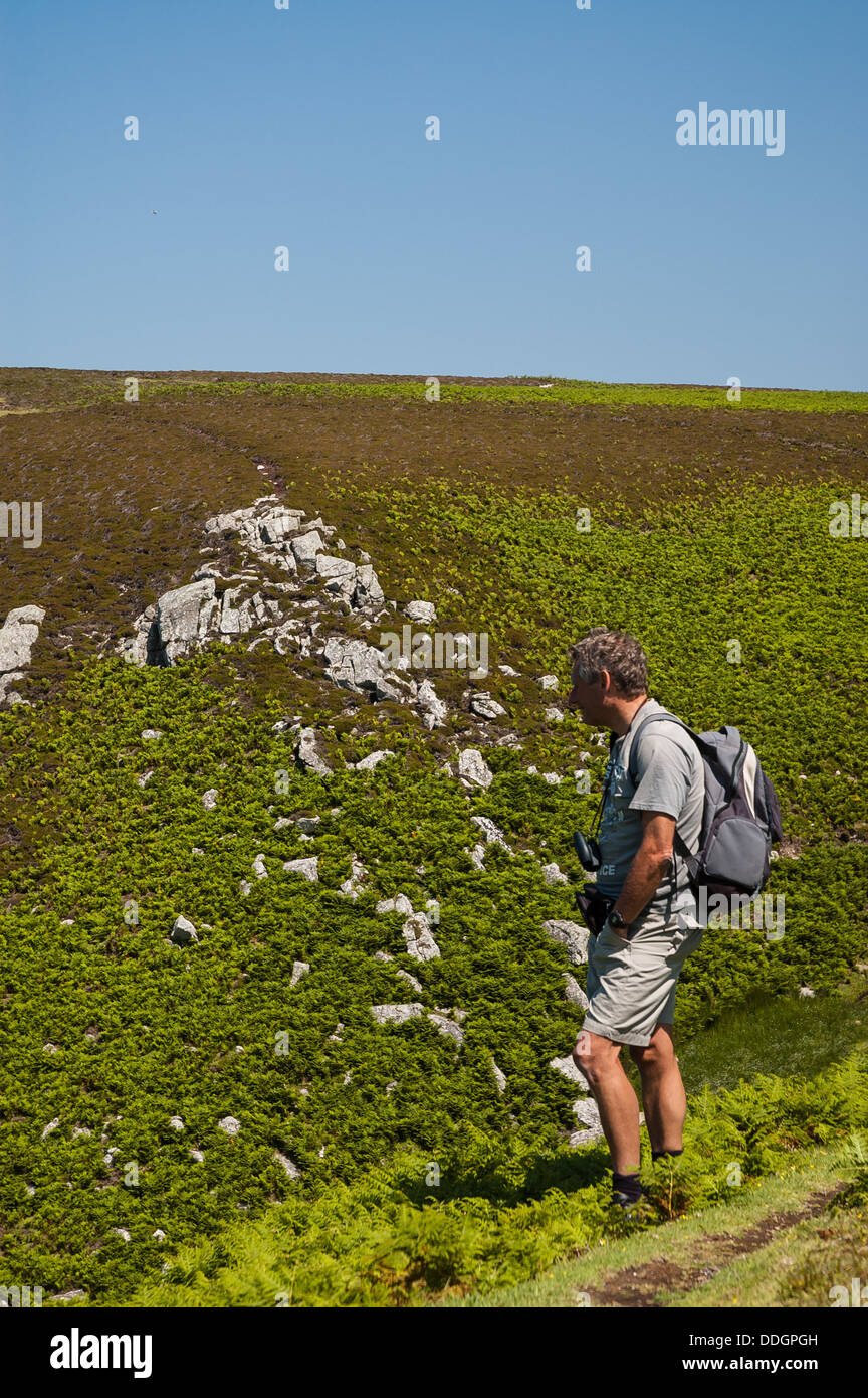 Un viandante si gode della vista circondata dal verde di felci e rocce di granito Foto Stock