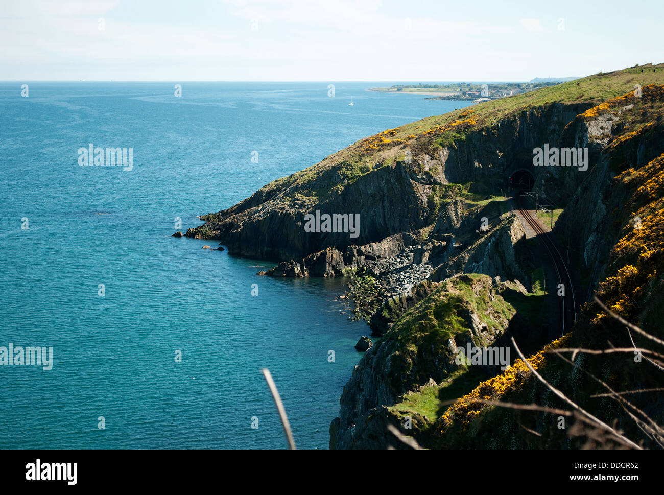 Il Cliff Walk è un cammino lineare tra Bray e Greystones, seguendo la linea ferroviaria lungo le scogliere di Bray testa. Foto Stock