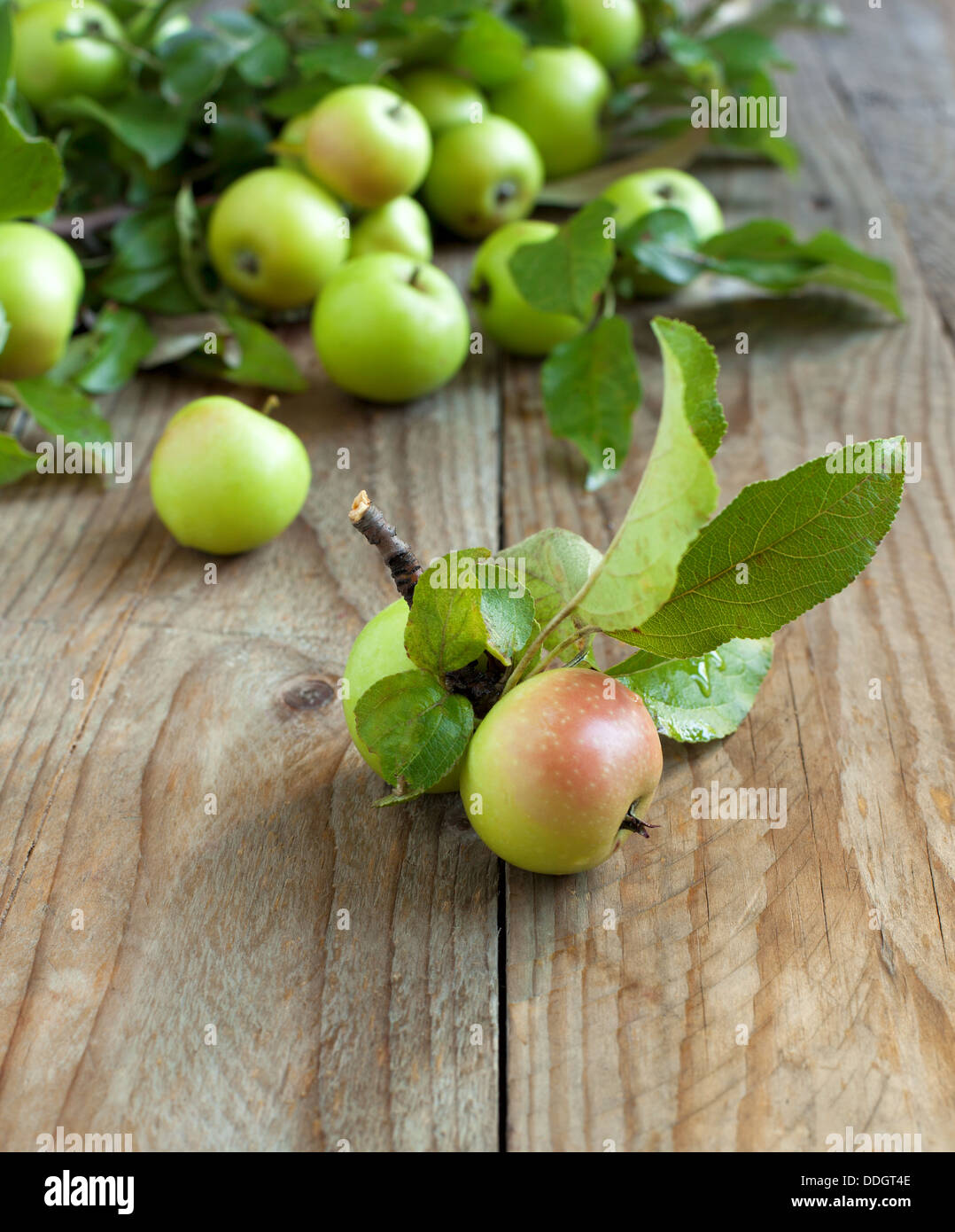 Mele biologiche con foglie su sfondo di legno Foto Stock