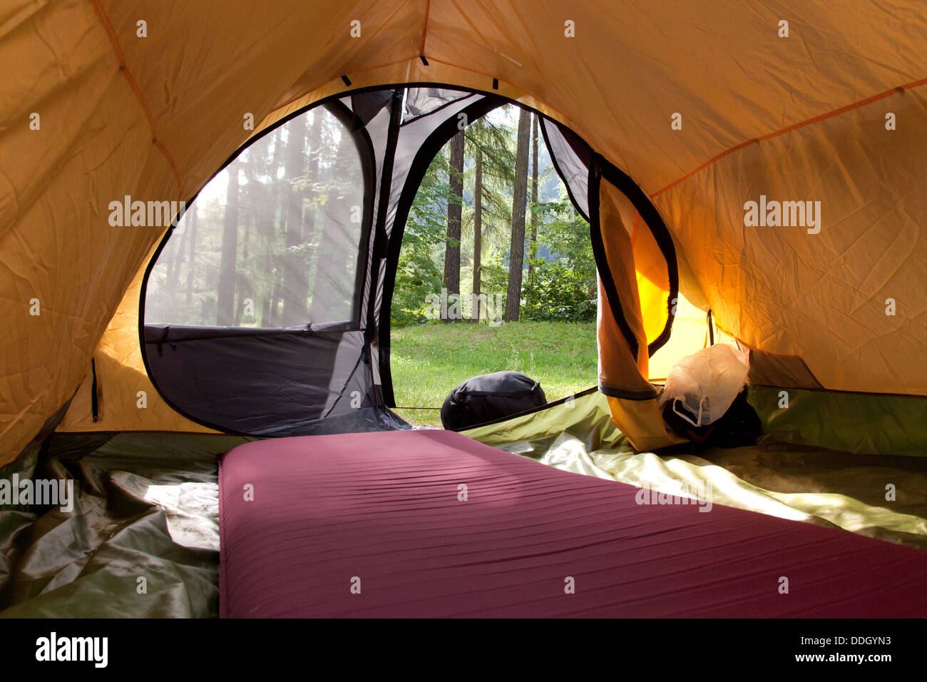 Tenda nel bosco Foto Stock