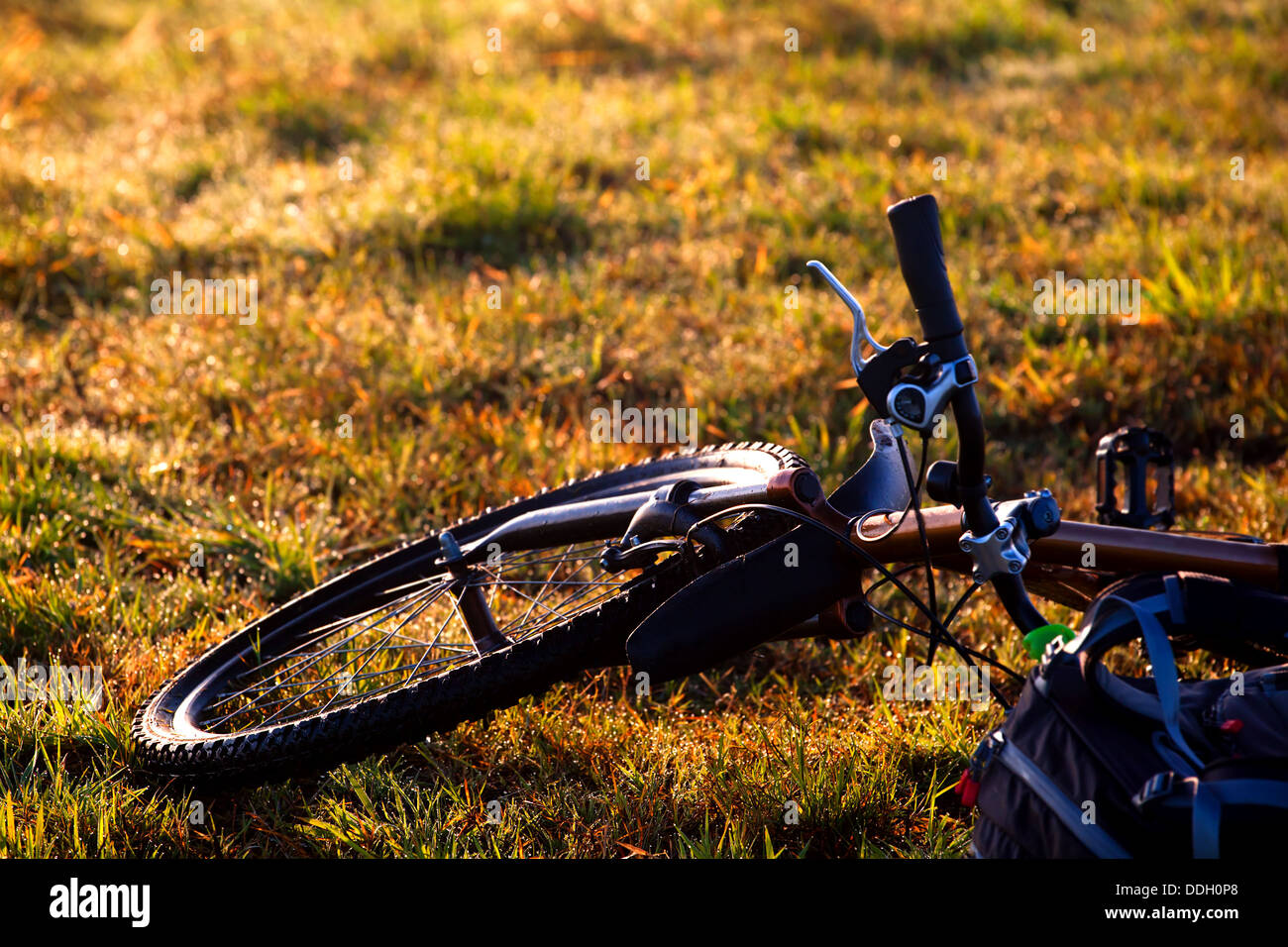 Bicicletta di montagna sull'erba Foto Stock
