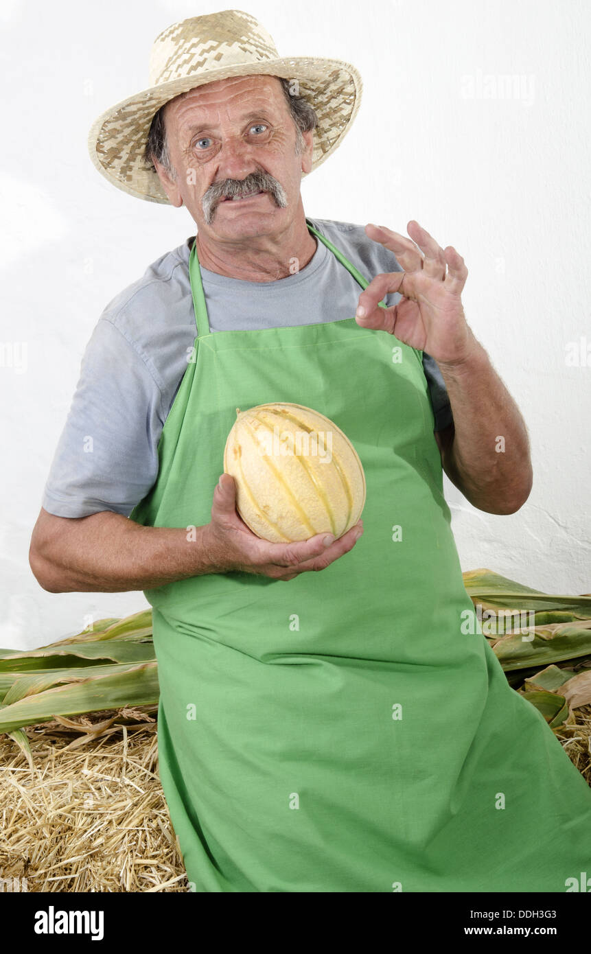 Agricoltore biologico con un miele melone Foto Stock