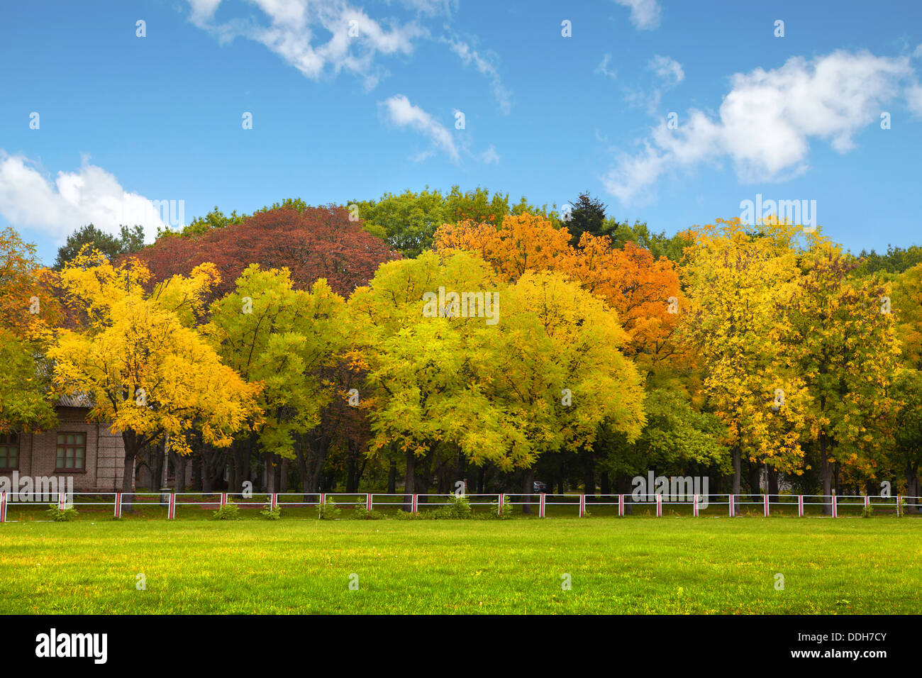 In autunno gli alberi al di sopra del cielo blu Foto Stock