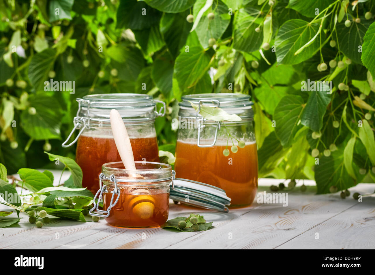 Il miele in un vaso sullo sfondo dei Tigli Foto Stock