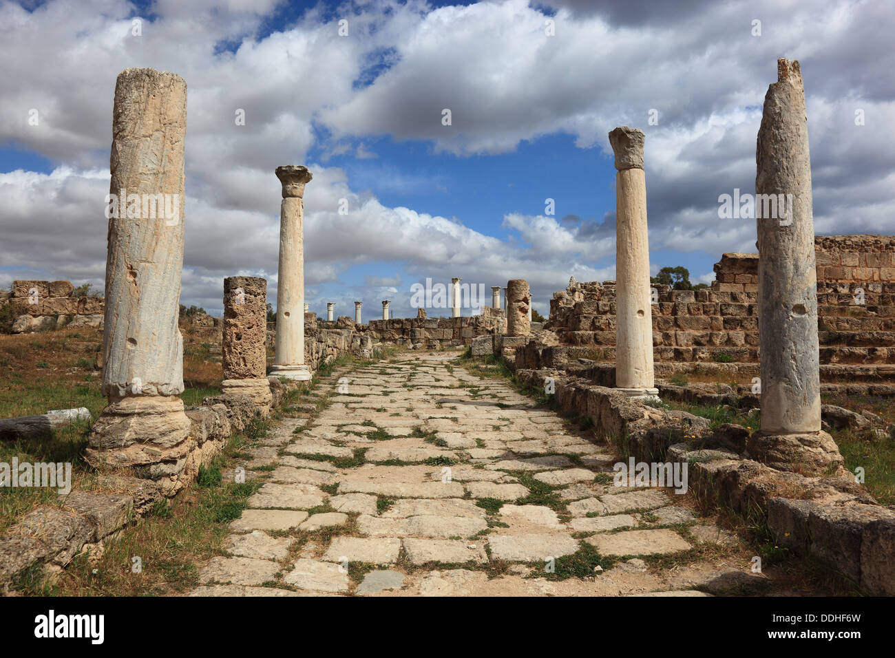 Antica città di Salamina, Cipro Foto stock - Alamy