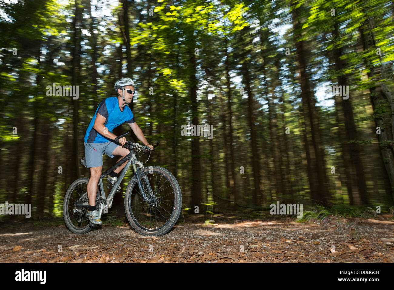Ciclista su una mountainbike a cavallo attraverso una foresta Foto Stock