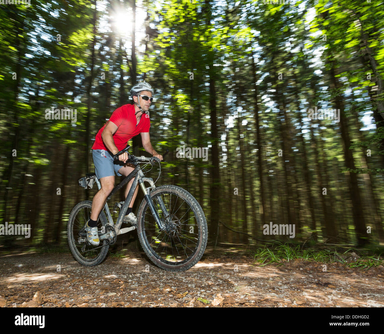 Ciclista su una mountainbike a cavallo attraverso una foresta Foto Stock