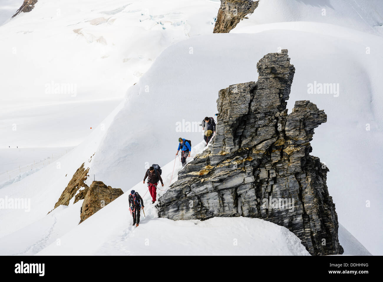 Gli alpinisti sul crinale del Jungfraujoch, vicino a Grindelwald in Svizzera Foto Stock