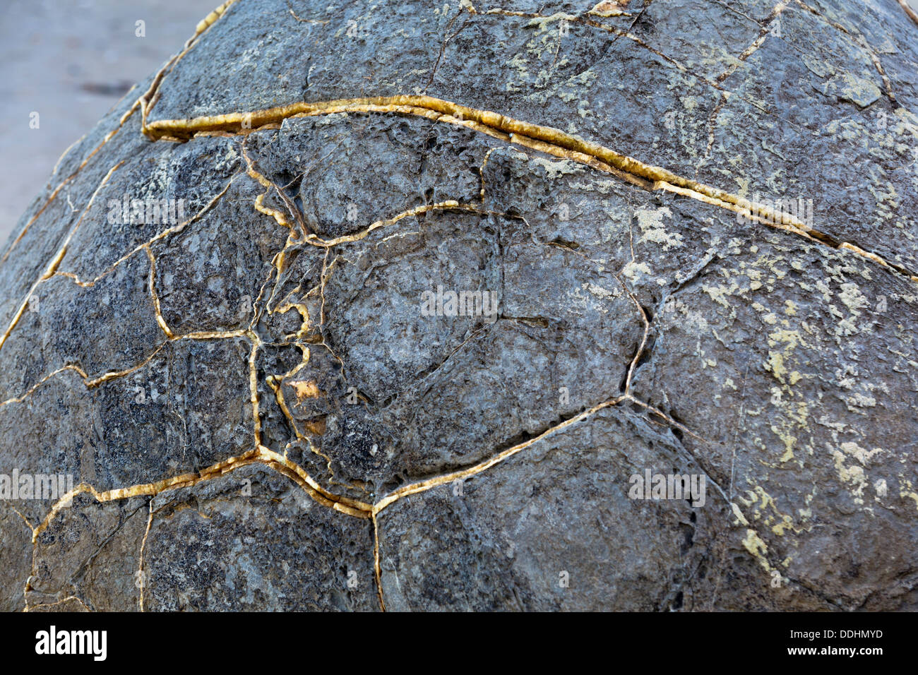Moeraki Boulder, dettaglio della struttura in pietra Foto Stock