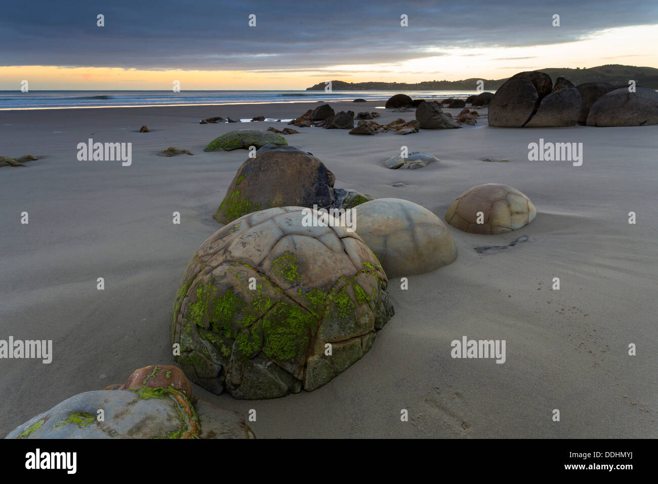 Moeraki Boulders sulla spiaggia all'alba Foto Stock