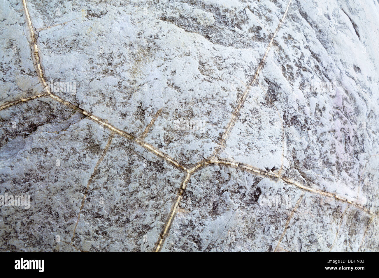Moeraki Boulder, dettaglio della struttura in pietra Foto Stock