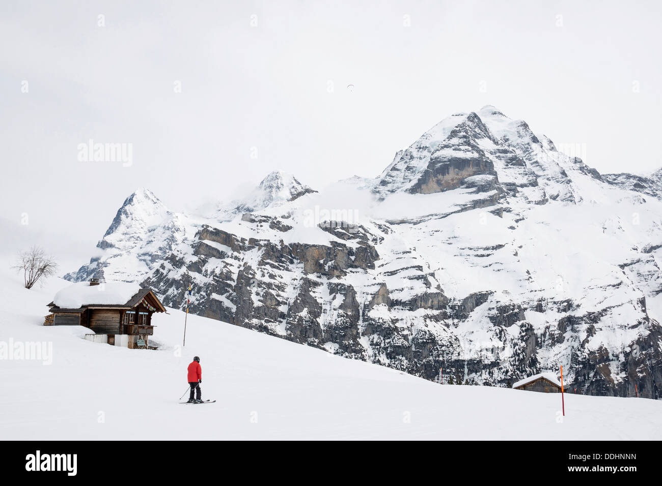 Old log cabin e sciatore, Oberland bernese con il Monte Eiger in inverno, Alp Gimmeln Foto Stock