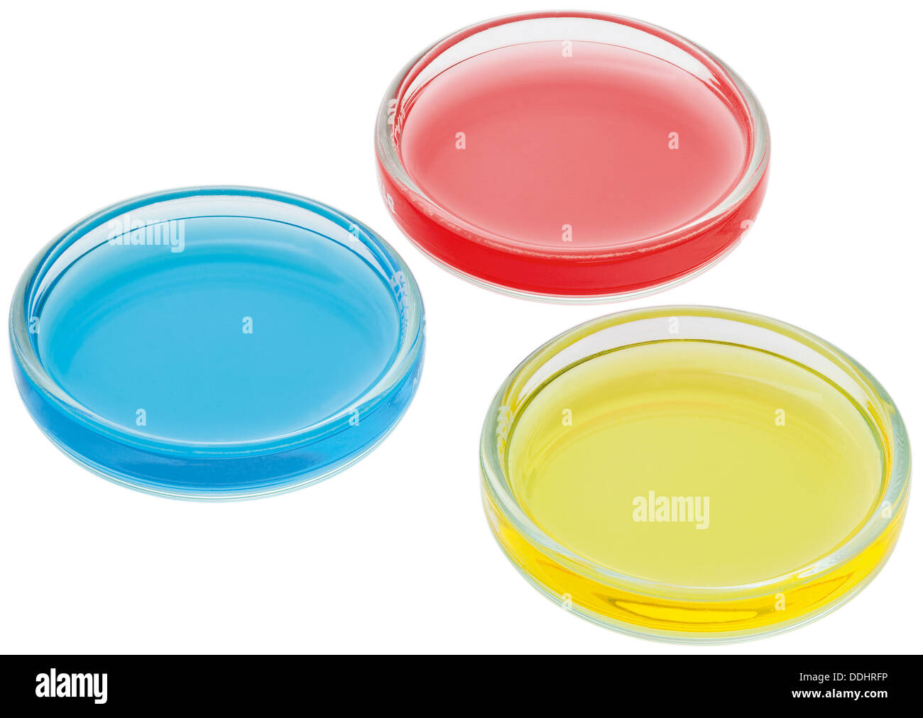 Capsule di Petri con liquido colorato su sfondo bianco, close up Foto Stock