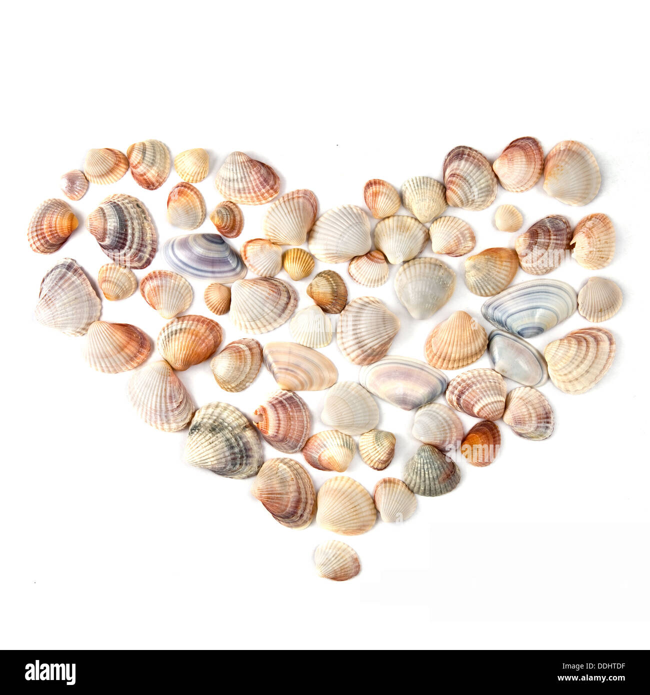 Cuore per il giorno di San Valentino da gusci di colore isolato su bianco Foto Stock