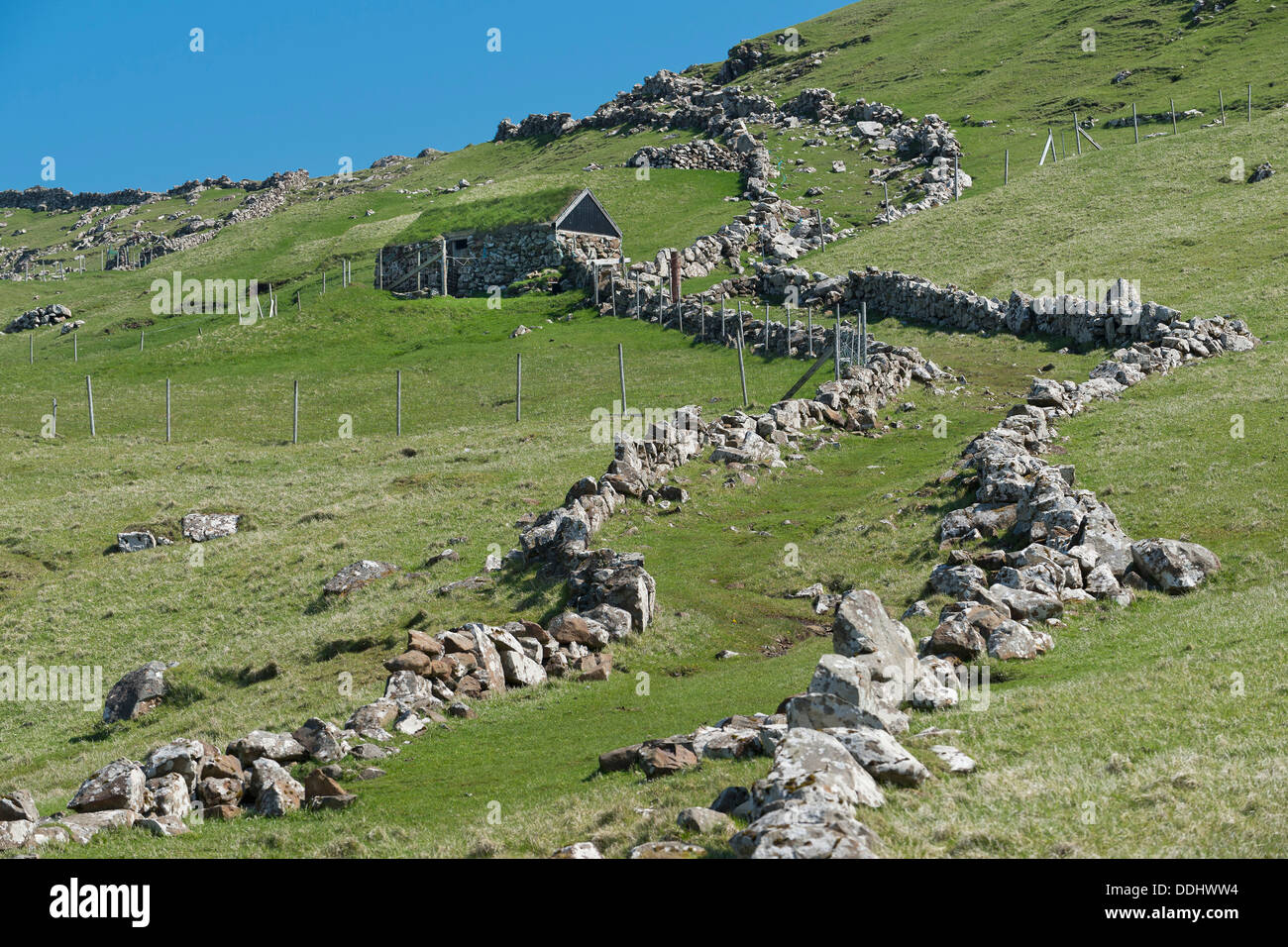Le antiche mura che limitano la pecora modo durante una trasmissione di pecora Foto Stock
