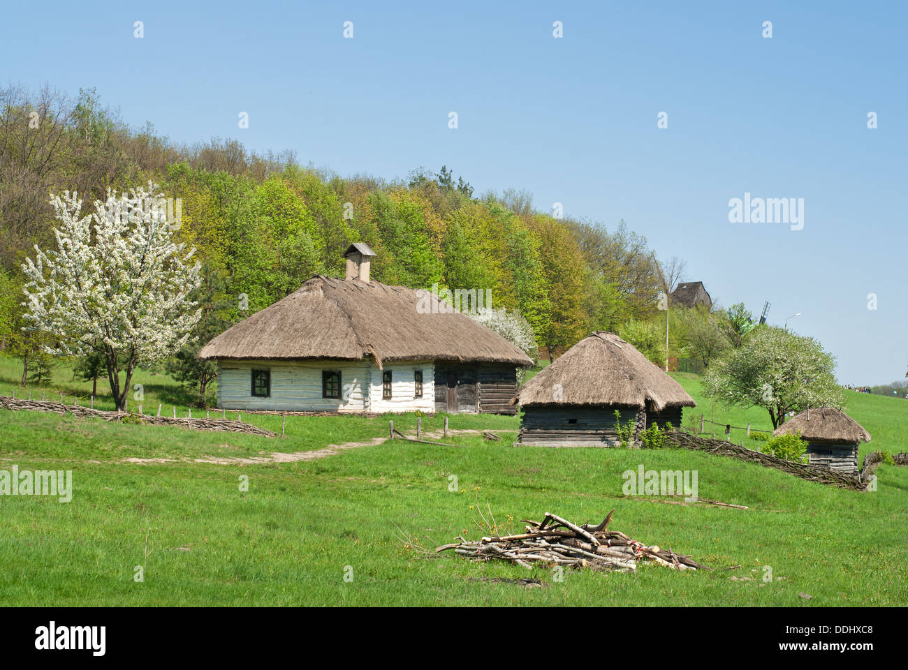 Vecchie case contro la foresta verde Foto Stock