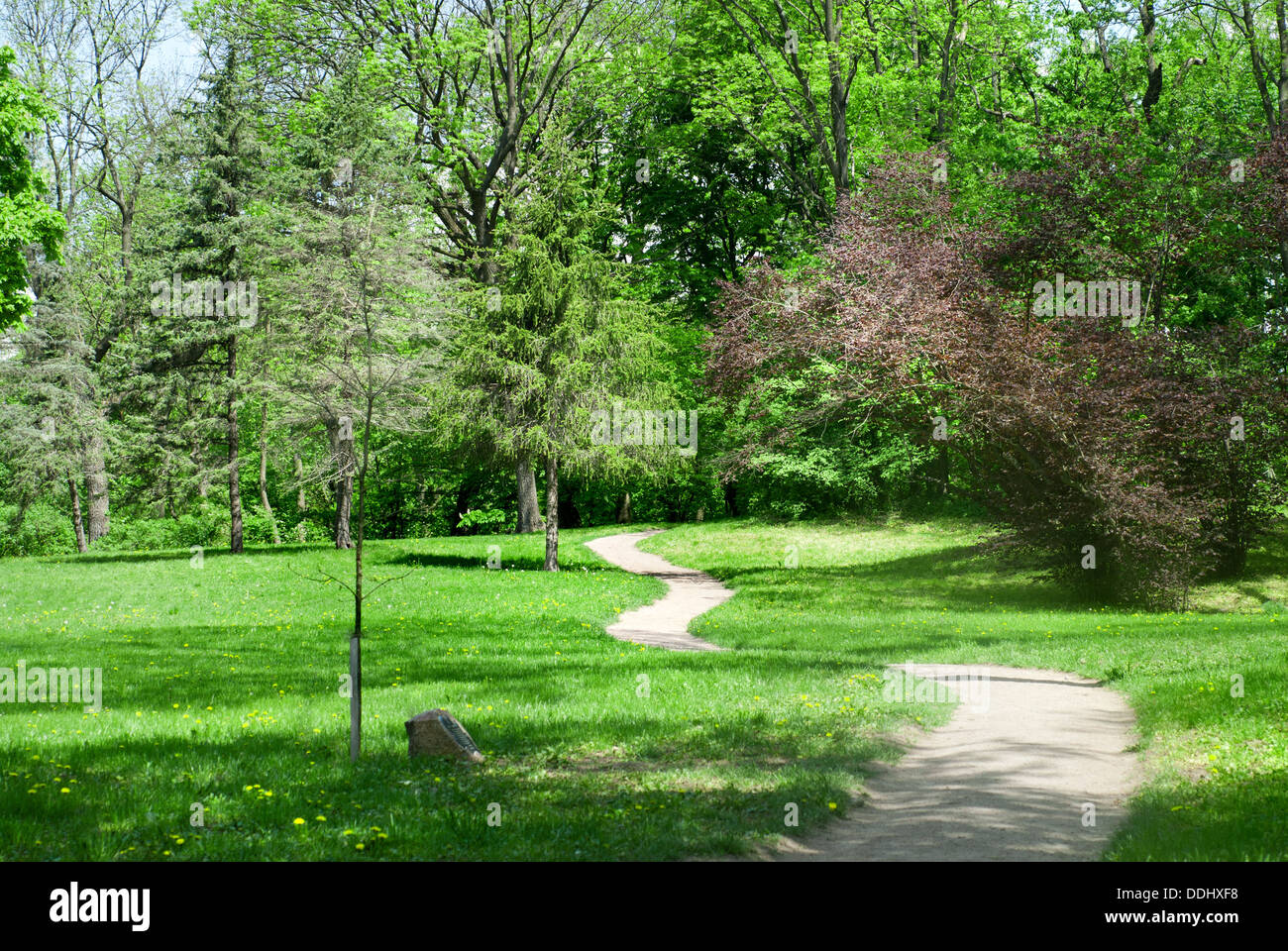 Parco verde in primavera Foto Stock