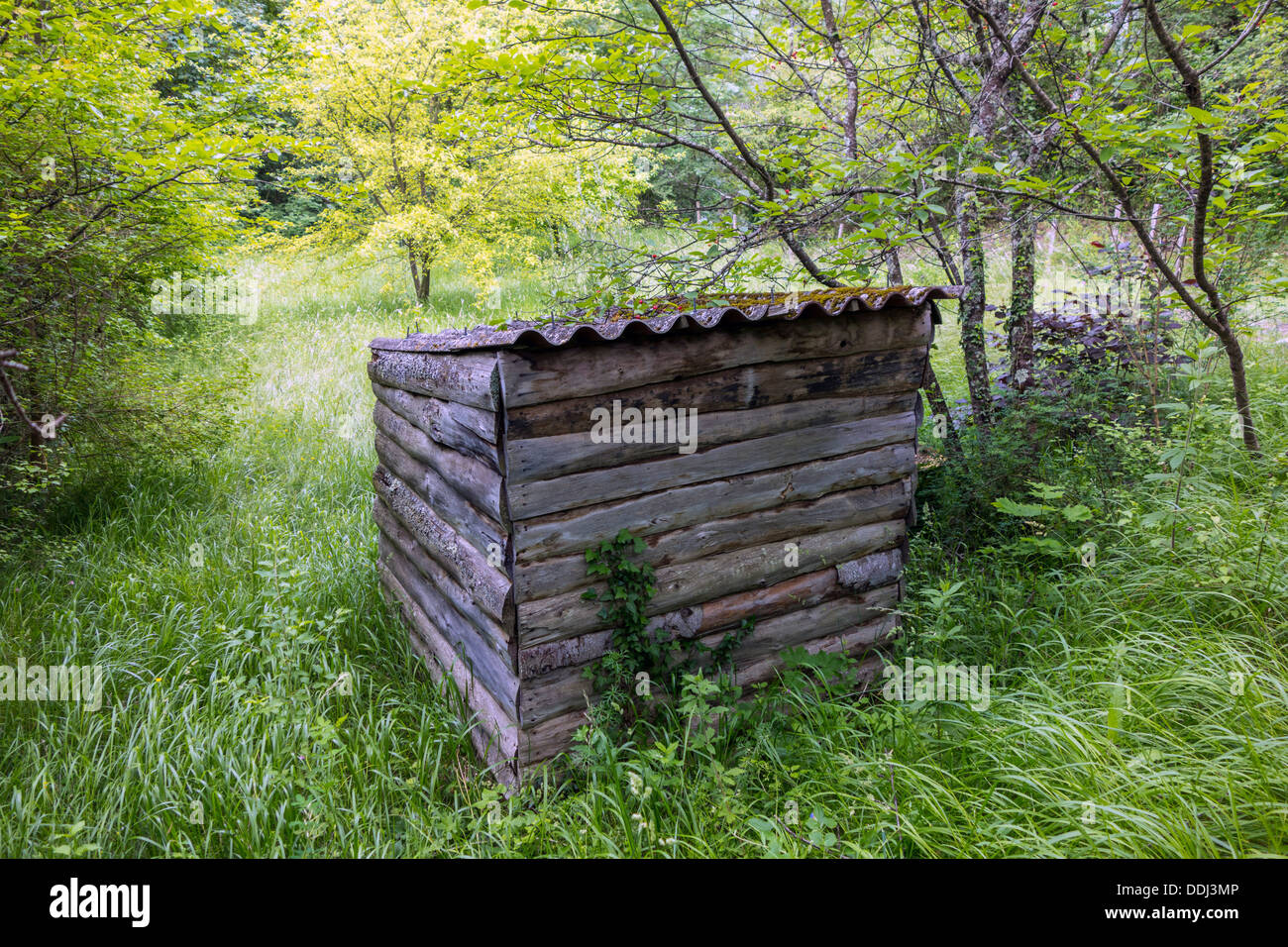 Piazza di legno capannone nel prato e legno Foto Stock