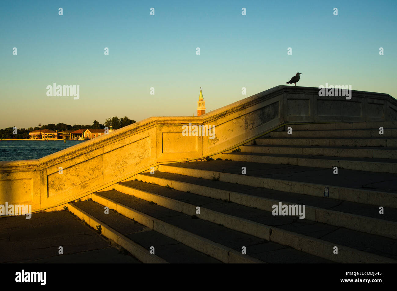 Seagull sulla scalinata su un ponte all'alba in San Marco Venezia Italia Foto Stock