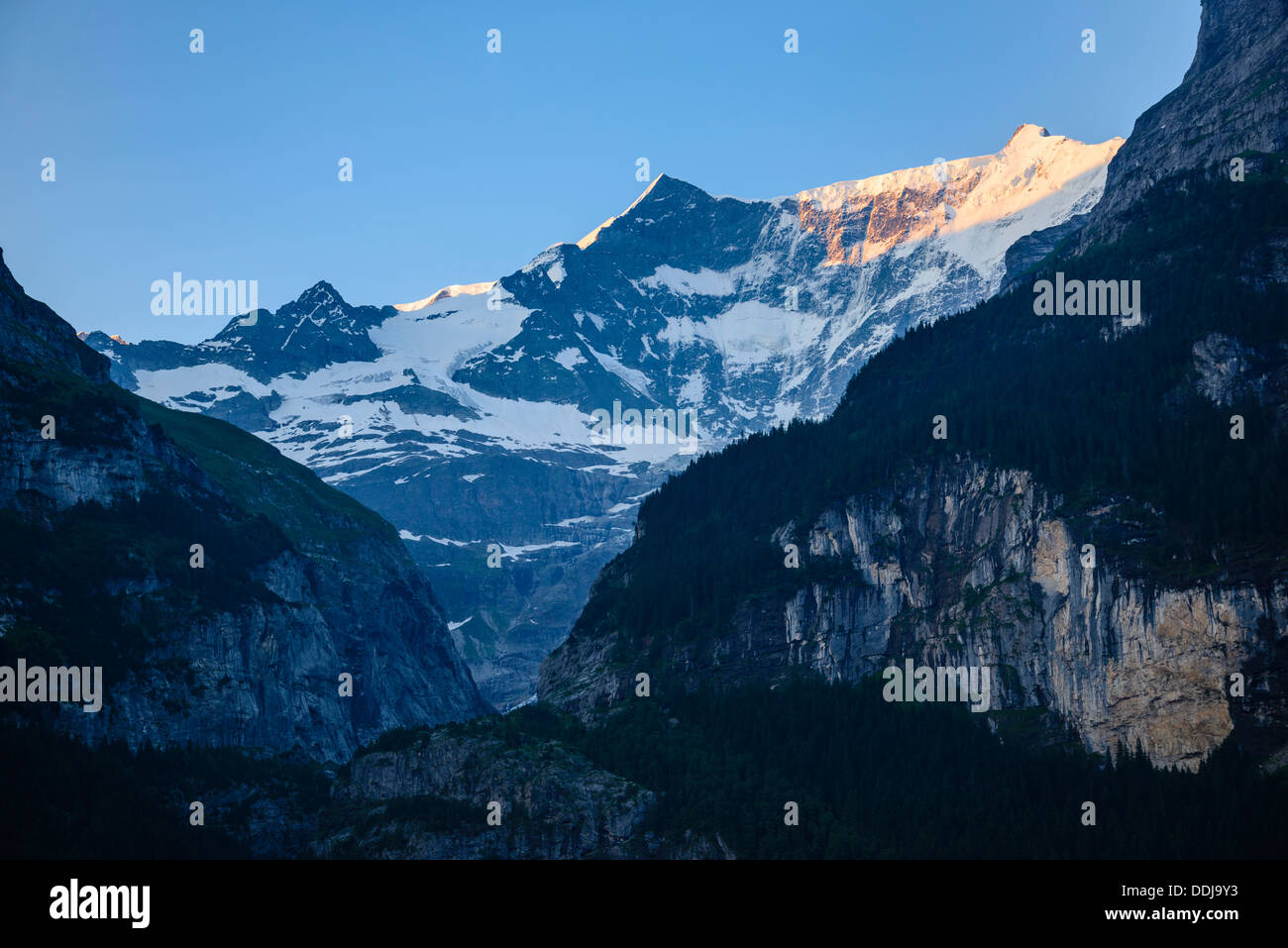 Il Fiescherhorn da Grindelwald in Svizzera Foto Stock