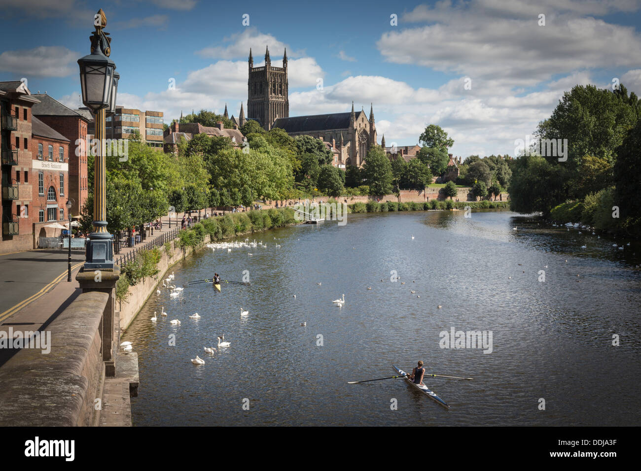 I canottieri sul fiume Severn affacciato sulla cattedrale di Worcester Foto Stock