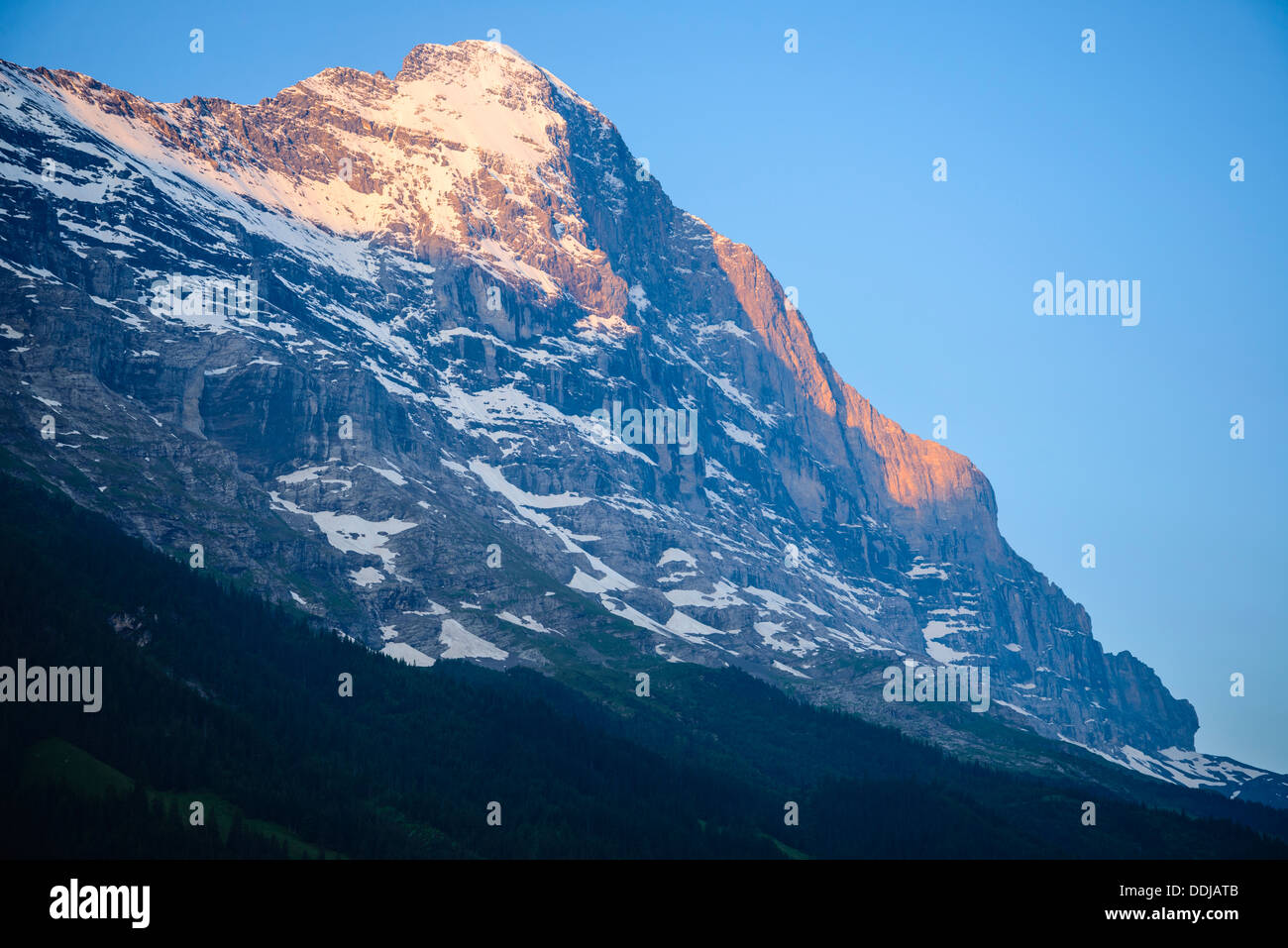 Vista dell'Eiger da Grindelwald, Svizzera in inizio di mattina di luce. North Face in ombra, Mittelleggi costone sulla sinistra Foto Stock