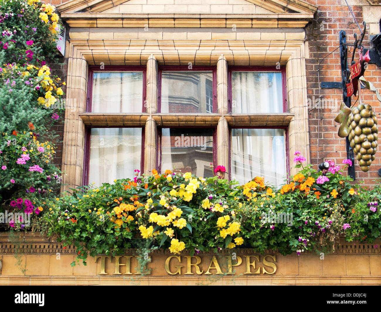 Display floreale all'uva - un pub in George Street, Oxford 2 Foto Stock