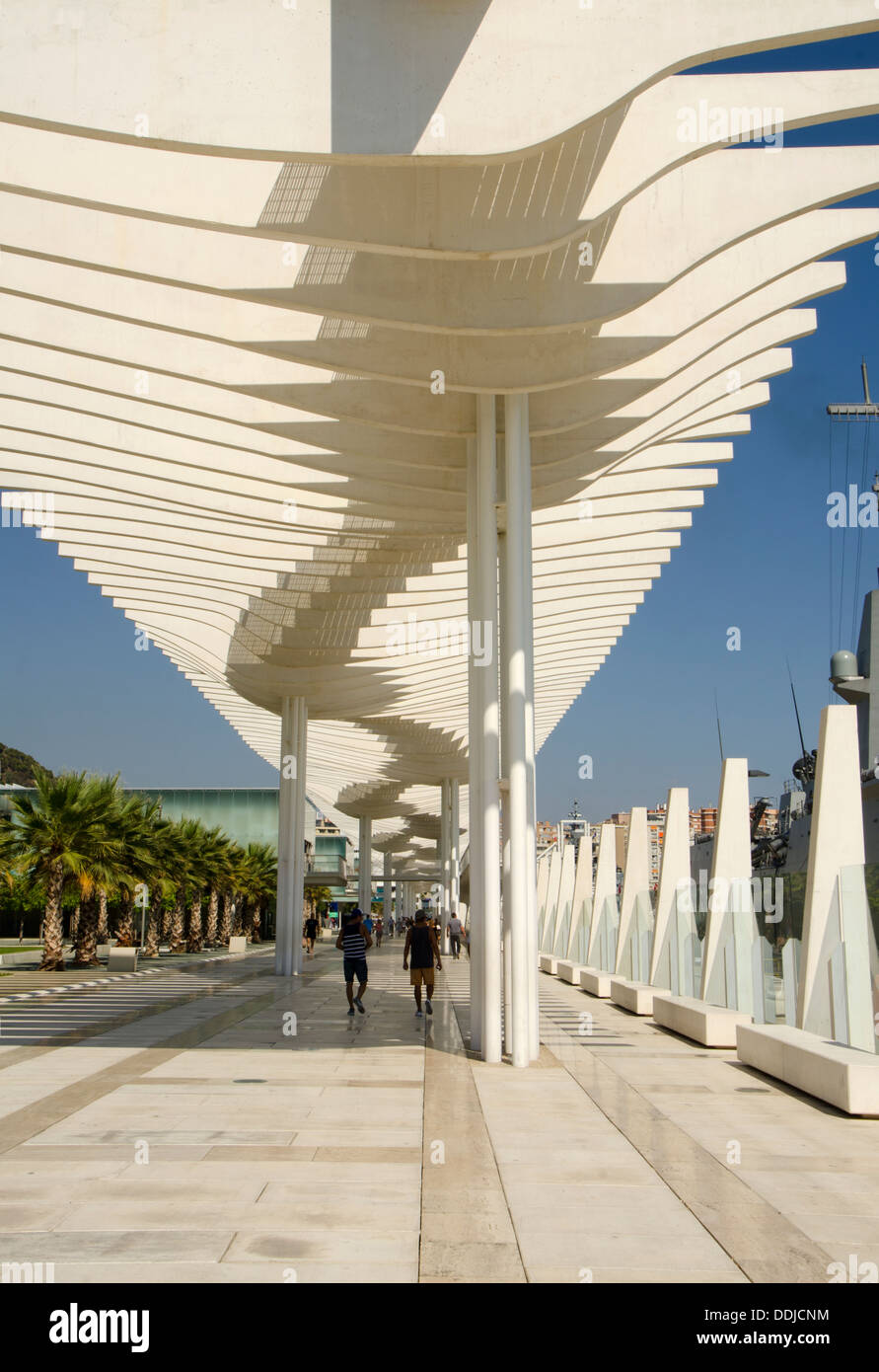 Moderna Marina e alla passeggiata lungomare a Malaga chiamato "il giardino delle palme di sorprese', Spagna. Foto Stock