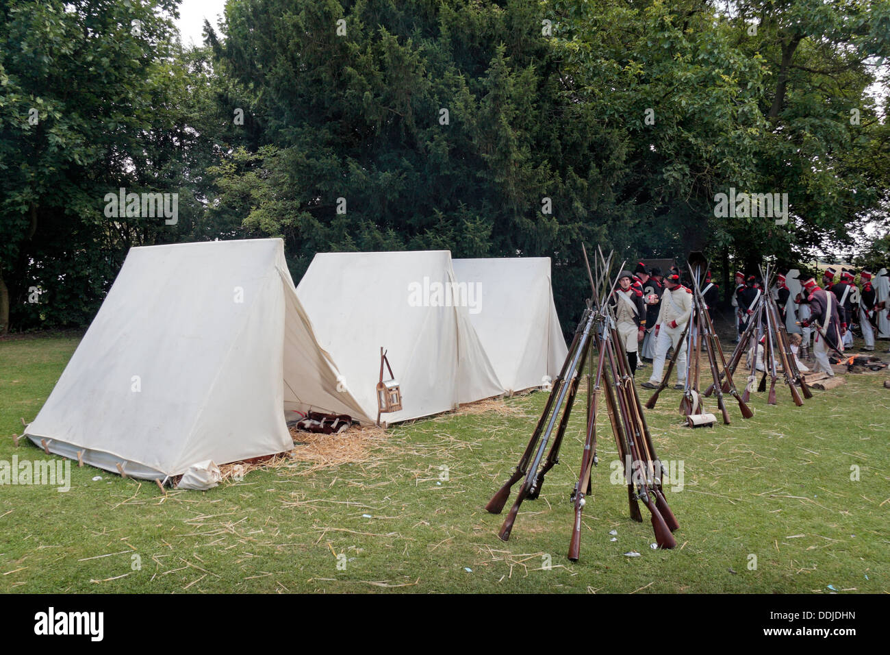 Fucile pile in un francese di rievocazione gruppo tende campeggio vicino alla Butte du Lion sul campo di battaglia di Waterloo, Belgio. Foto Stock