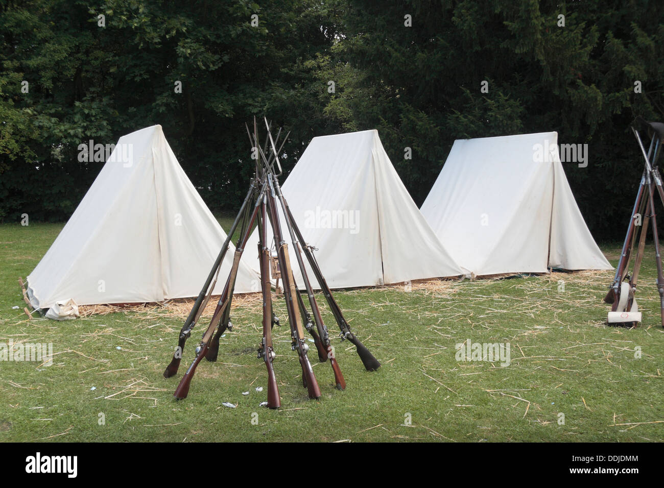 Fucile pile in un francese di rievocazione gruppo tende campeggio vicino alla Butte du Lion sul campo di battaglia di Waterloo, Belgio. Foto Stock