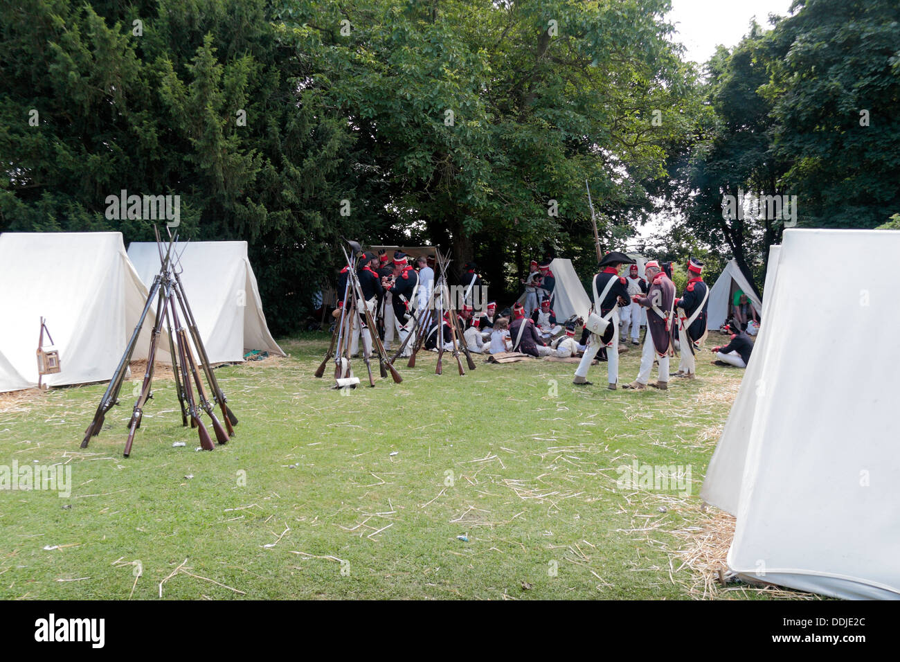 Un francese di rievocazione gruppo Impostare un campo in tenda vicino alla Butte du Lion sul campo di battaglia di Waterloo, Belgio. Foto Stock