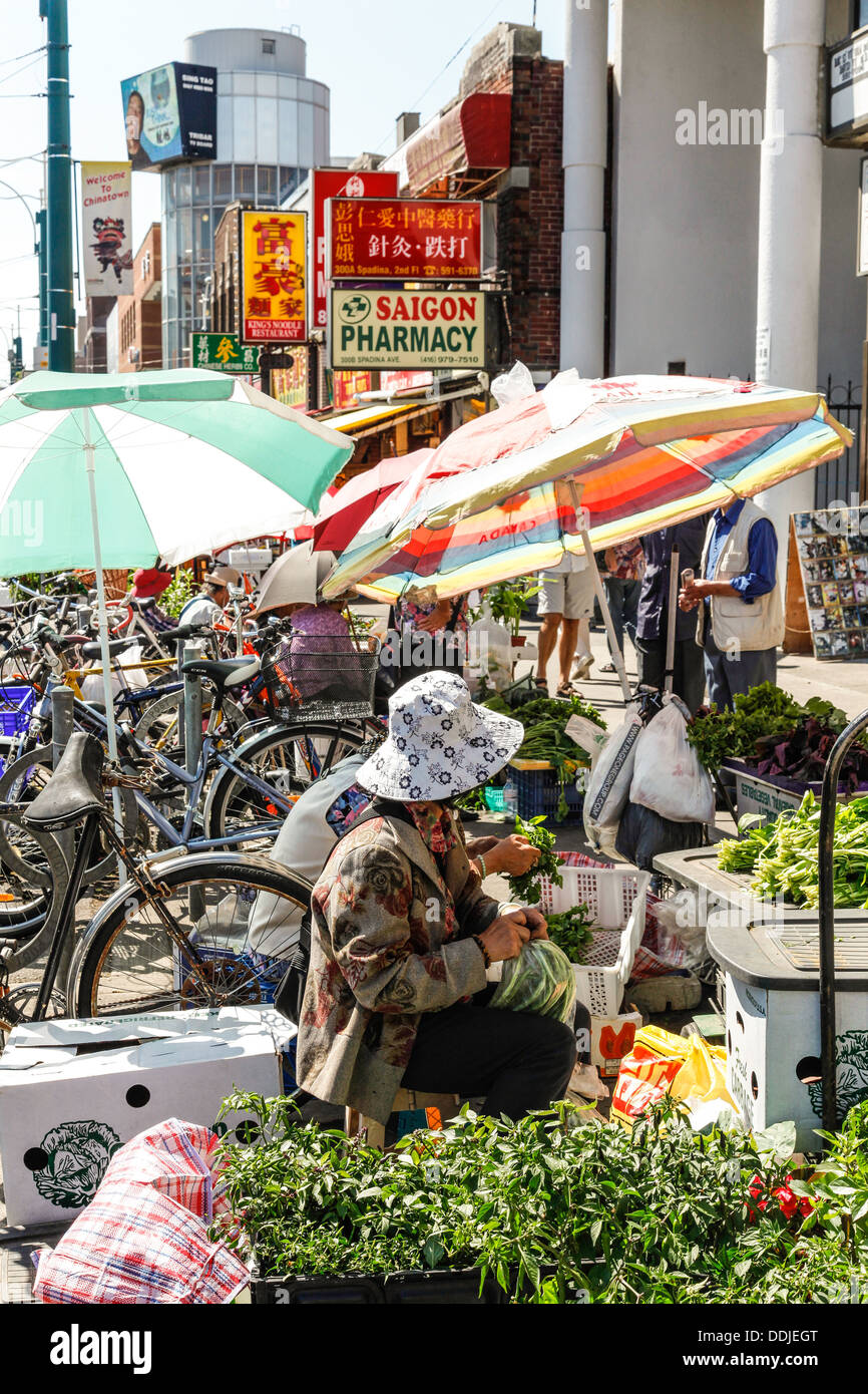 Chinatown e Kensington Market a Toronto;;Ontario Canada;l'America del Nord Foto Stock