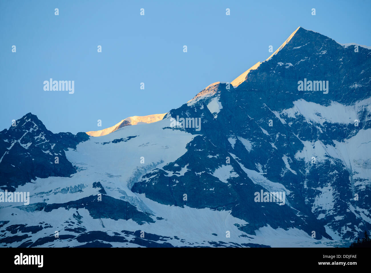 L'Hinter Fiescherhorn da Grindelwald, Svizzera Foto Stock