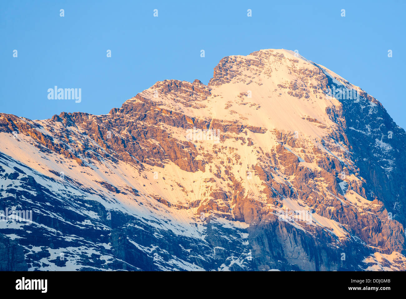 Vista dettagliata dell'Eiger da Grindelwald, Svizzera. In alto di fronte nord in ombra sulla destra, Mittelleggi costone sulla sinistra Foto Stock