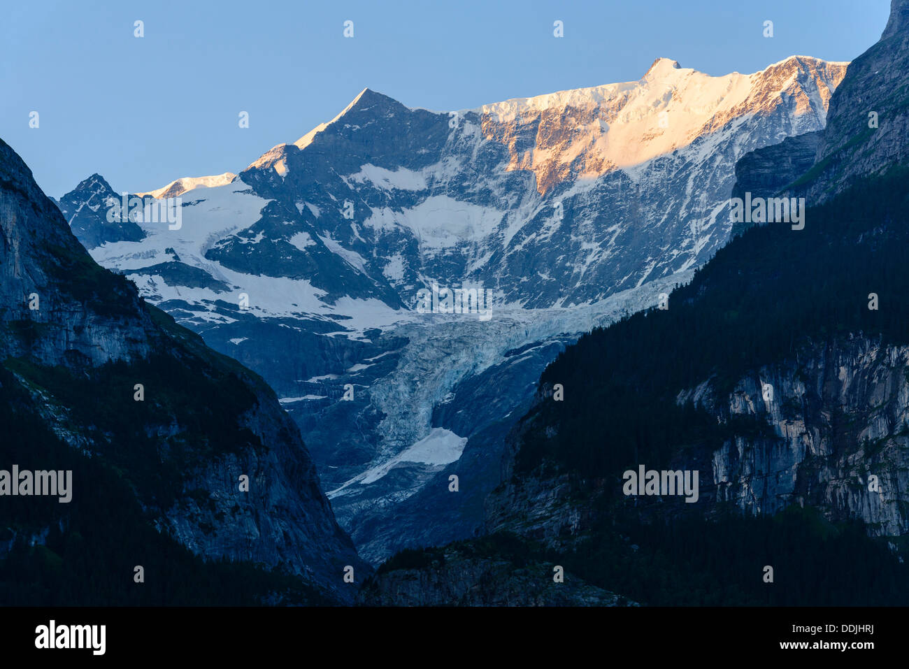 Il Fiescherhorn da Grindelwald, Svizzera Foto Stock