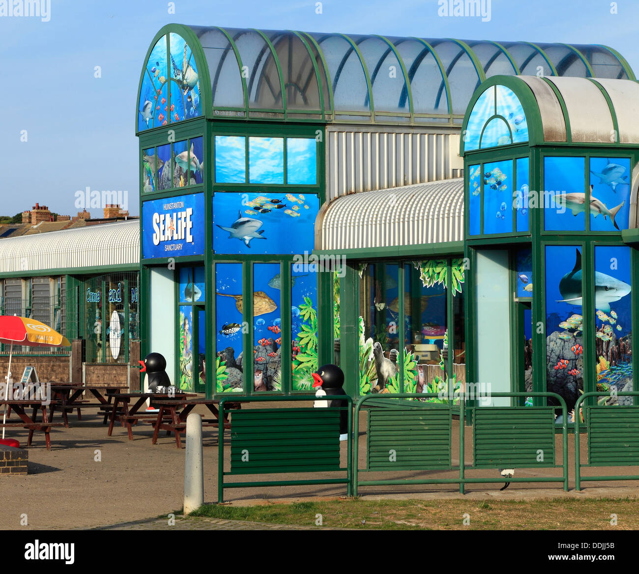 Hunstanton Sea Life Centre, marine aquarium, Norfolk Inghilterra UK Centre Foto Stock
