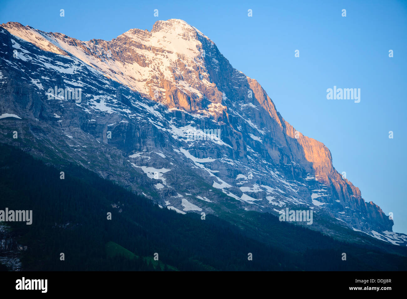Vista dell'Eiger da Grindelwald, Svizzera in inizio di mattina di luce. La faccia del nord in ombra, Mittelleggi costone sulla sinistra Foto Stock