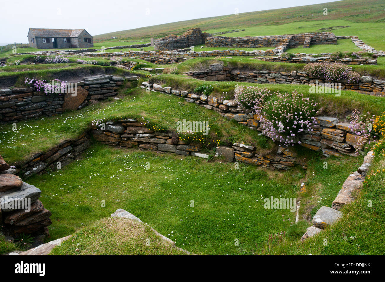 I resti di case dei norvegesi sul Brough di Birsay nel nord-ovest della terraferma, Orkney. Foto Stock