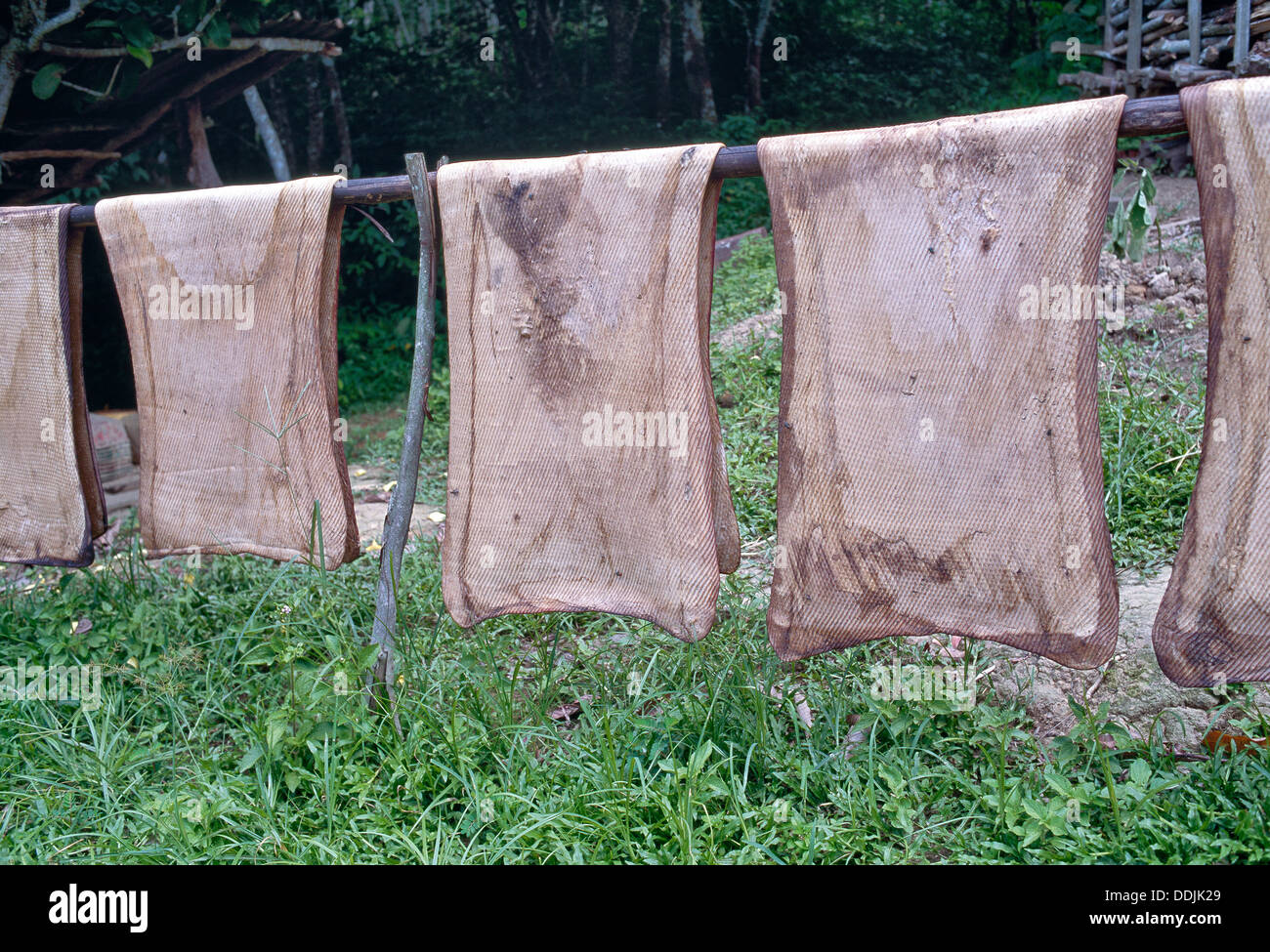 Lattice grezzo fogli laminati di essiccazione, villaggio nativo. Foto Stock