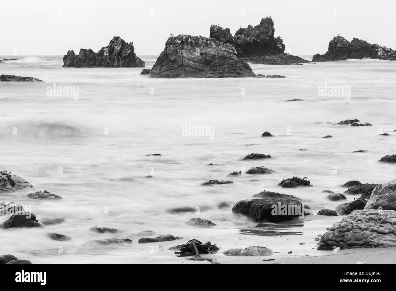 Le onde di laminazione a Whitepark Bay County Antrim Irlanda del Nord, la conversione in bianco e nero Foto Stock