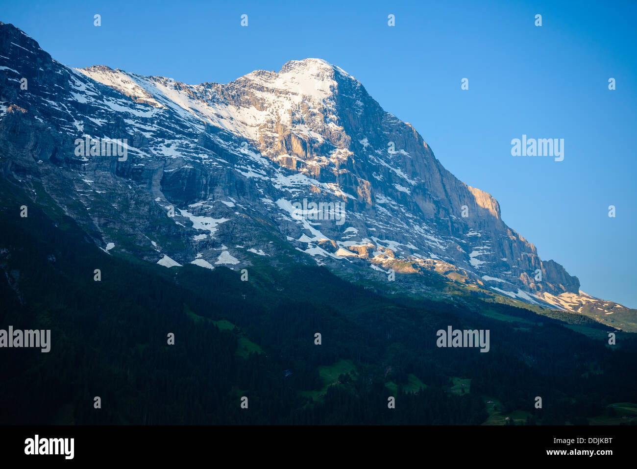 Vista dell'Eiger da Grindelwald, Svizzera in Early Morning Light Foto Stock